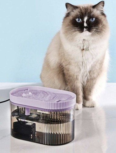 نافورة للحيوانات الاليفة بلون ارجواني 1.5 لتر