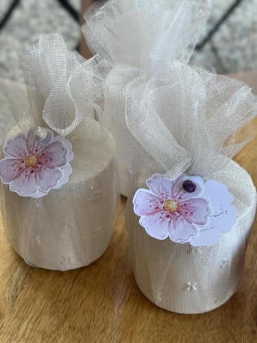 علبة جبس