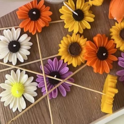 شمعة البابونج مع تغليف