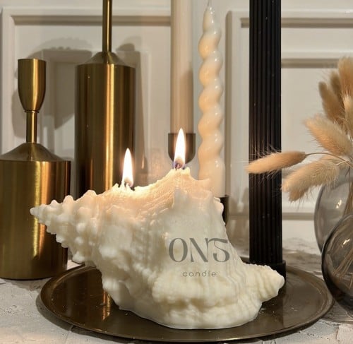 شمعة الصدفة العملاقه