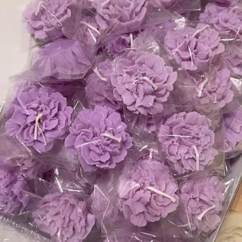 شمعة زهرة الكاميليا