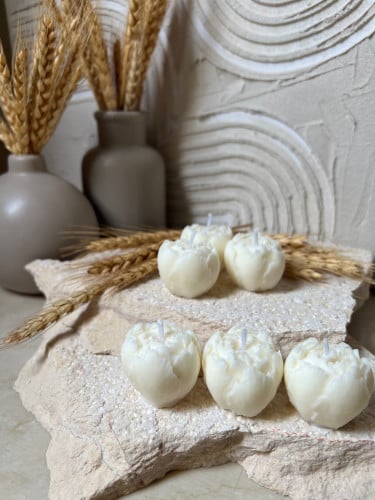 شمعة التوليب