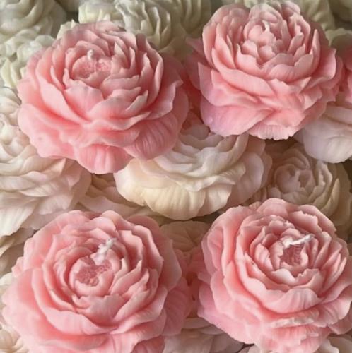 جوري بعلب اكليريك و ثيم