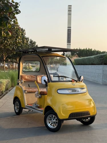 عربة جولف كهربائية بالطاقة الشمسية بطارية ليثيوم