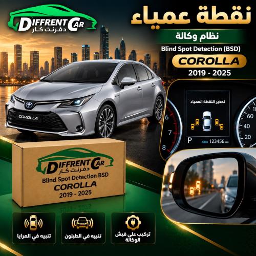 نقطه عمياء كوريلا 2019-2025 نظام وكاله