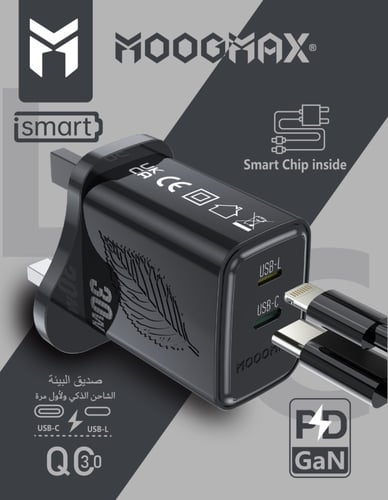 Moogmax شاحن جداري بتقنية GAN