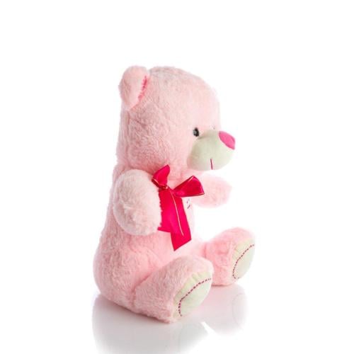 دب بنت وولد بحجم 30 سم