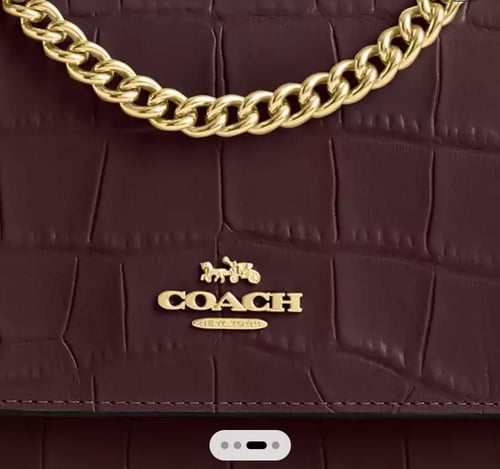 شنطة coach