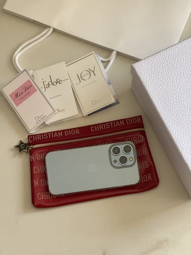 باوتش dior صغير جلد