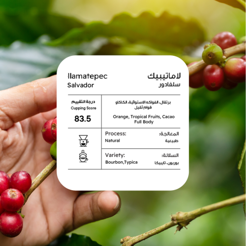 ال سلفادور لاماتيبيك250ج