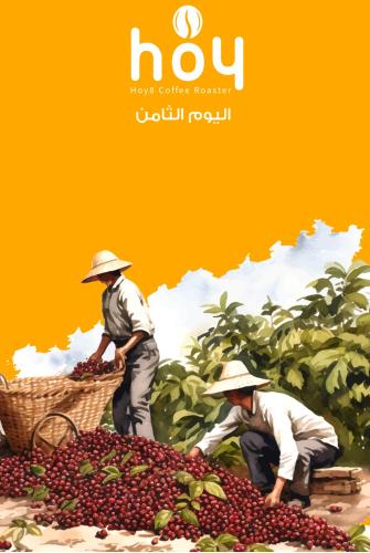 اليمن لميس 250ج