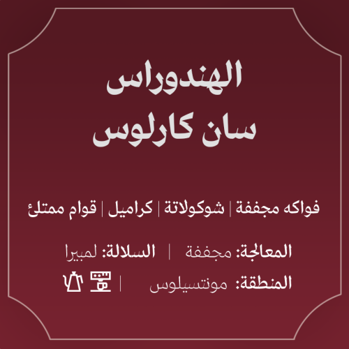 اله‍ندوران سان كارلوس 250ج