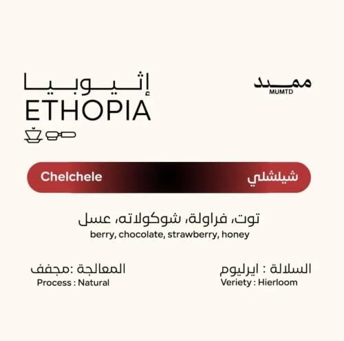 إثيوبيا شيلشلي / Ethiopia chelchele