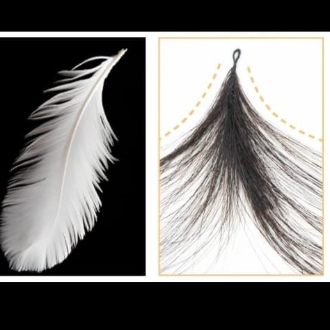 بكج اكستنشن الريشه40خصله طول 24