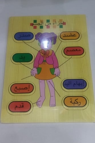 تعليم اجزاء الجسم من طرق تعليم منتسوري