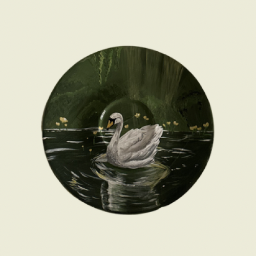 صحن كوب اسبريسو (swan lake)