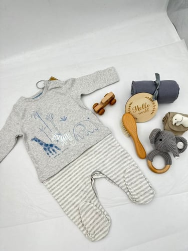 هدية مولود الفيل اللطيف