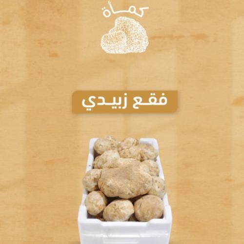 فقع زبيدي نخب اول - وزن من كيلو إلى كيلو ونصف تقري...
