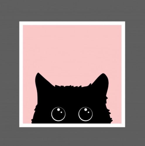 ملصق - قطه