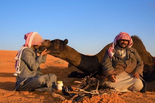 تجربة ركوب الجمل