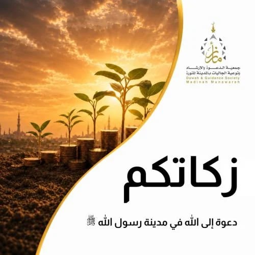 زكاتكم