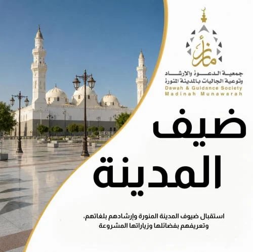 ضيف المدينة