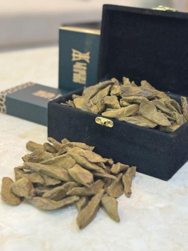 عود مروكي سجنتشر