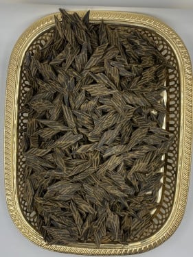 كمبودي تايقر محسن