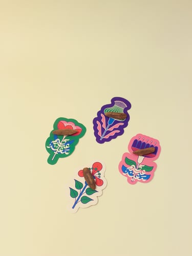 بوكس توزيعات العيد