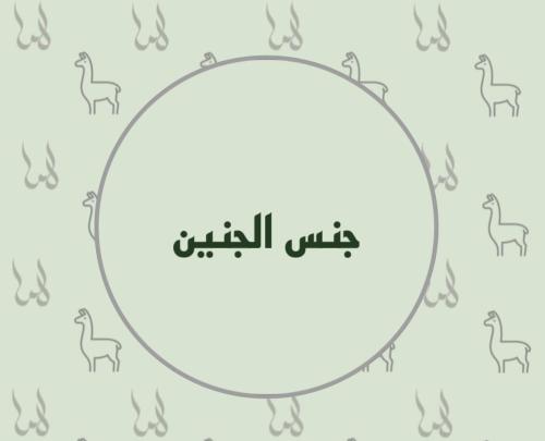 تصوير تحديد جنس الجنين
