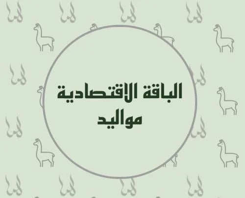 الباقة الاقتصادية