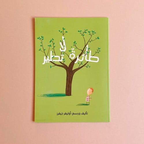 طائرة لا تطير