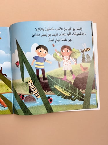 دورة حياة الفراشات