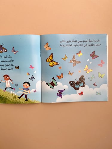 دورة حياة الفراشات