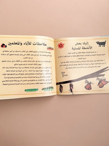 دورة حياة الفراشات