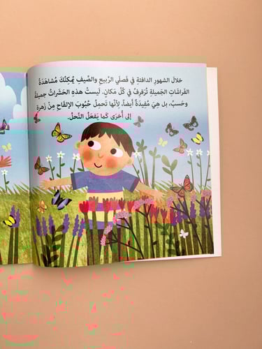 دورة حياة الفراشات