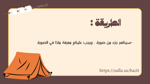 فعاليات الشتاء