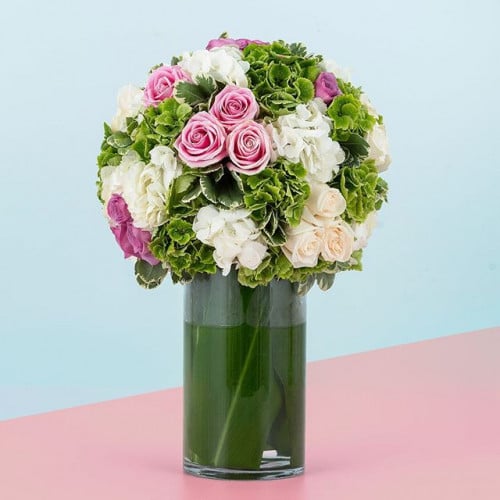 فازة هابي بيتالز