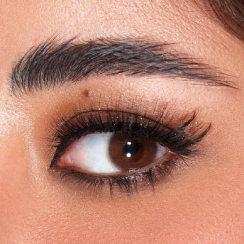 كلاسيك براون Classic Brown(غدير سلطان)