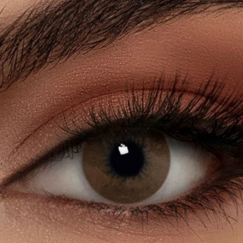 براون شادو Brown Shadow