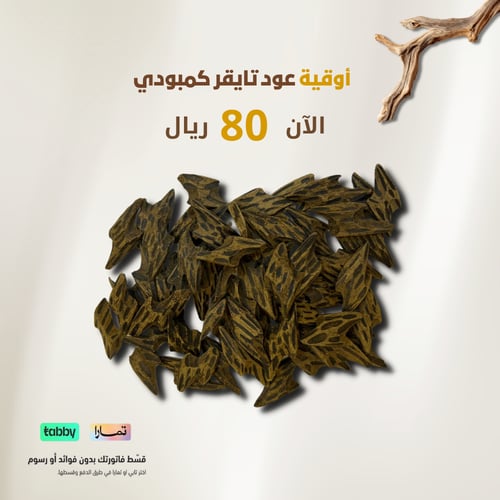 تايقر كمبودي الأصلي