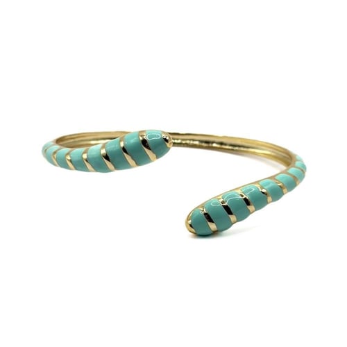 اسورة ثعبان سميكه