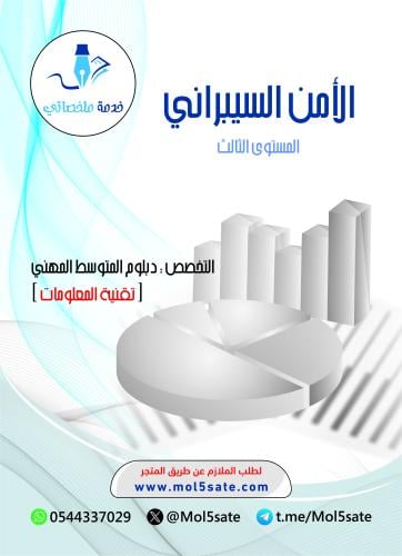 الأمن السيبراني PDF