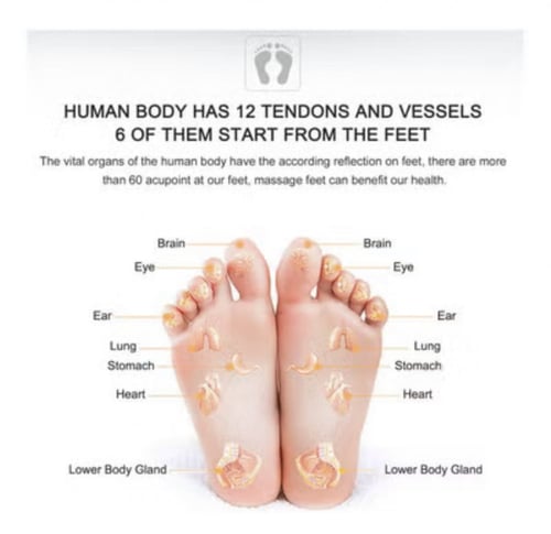 جهاز تدليك كهربائي لعضلات القدمين