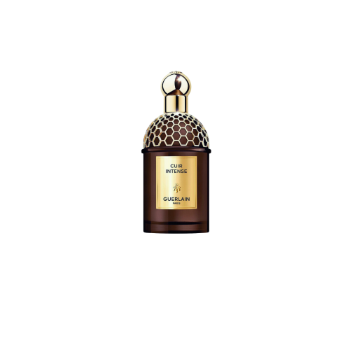 Cuir intense -كوير انتنس