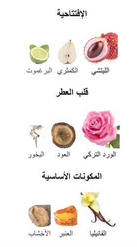 Delina Exclusif - ديلينا اكسكلوسيف