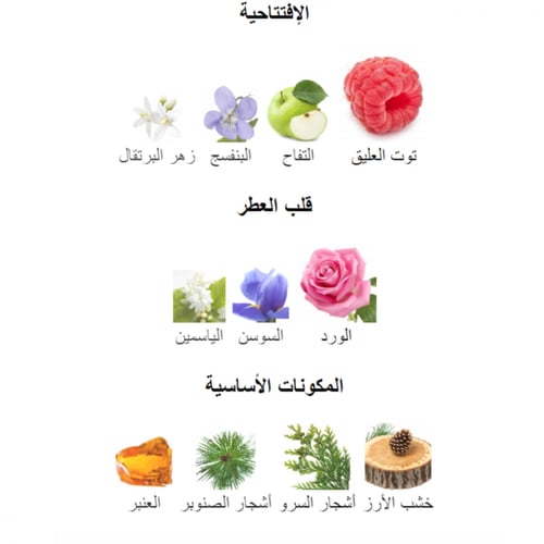 Flamingo Mangal - مونيجال فلامنكو