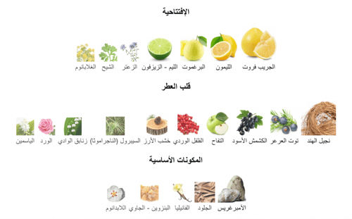 Elysium Pour Homme Parfum - روجا اليسيوم بور هوم ب...