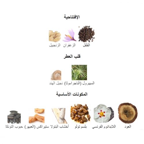 Shams Oud - شمس عود