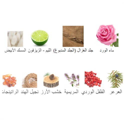  French leather - فرينش ليذر